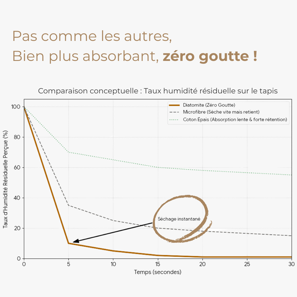 Tapis Bain Diatomite